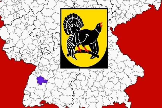 Kreistagswahl 2024: Wahlergebnisse Kreis Freudenstadt