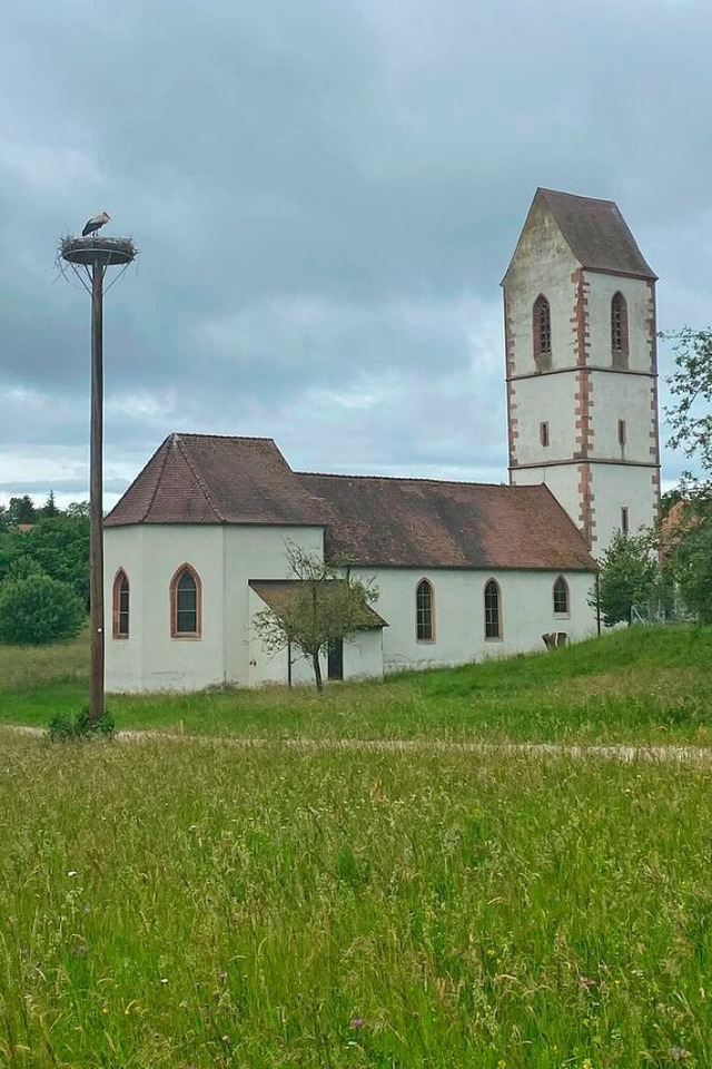 Horst oder Ida auf dem Storchenhorst bei der Kirche in Blansingen  | Foto: Christian Mller