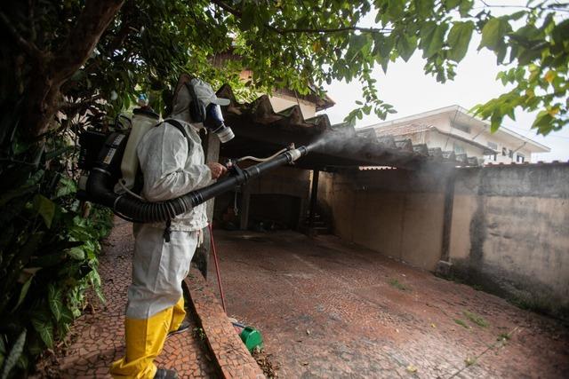 Die Weltgesundheitsorganisation schlgt wegen hoher Zahl von Dengue-Fllen Alarm