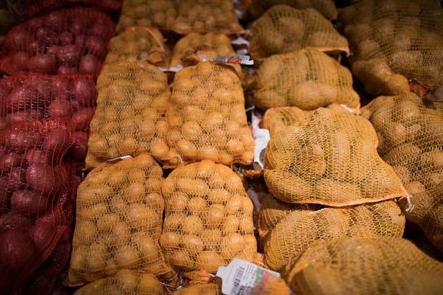 Supermrkte rufen gyptische Speisefrhkartoffeln zurck