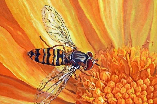 Von Stechmcken bis hin zu Schmetterlingen: Ausstellung in Feldberg zeigt Schnheit der Insekten