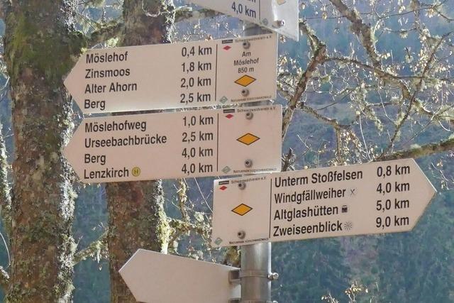 Schwarzwaldverein: St. Blasiens Ortsverein erhlt Hilfe von auswrts