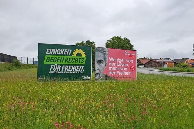 Im Hochschwarzwald gelten unterschiedliche Regeln fr den Plakatwahlkampf