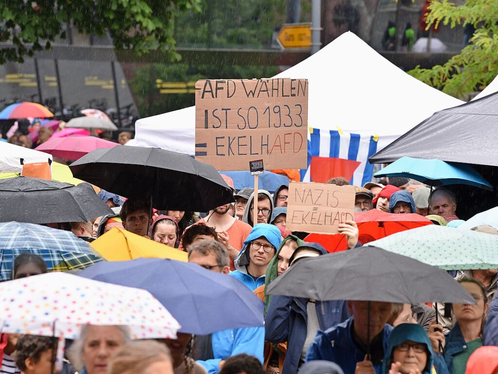 Rund 10.000 Teilnehmende gingen am Sonntag in Freiburg bei der Demonstration gegen Rechtsextremismus auf die Strae.