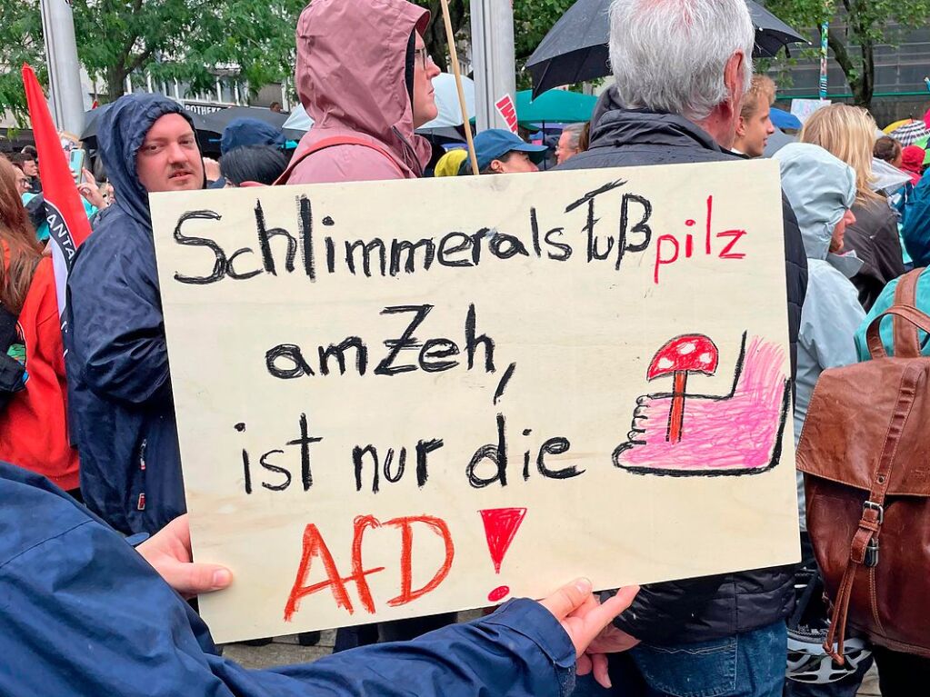 Rund 10.000 Teilnehmende gingen am Sonntag in Freiburg bei der Demonstration gegen Rechtsextremismus auf die Strae.