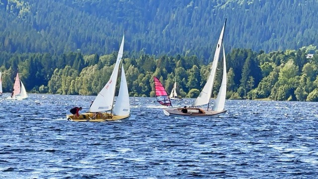 Der Schluchsee ist ein windreiches Wassersportrevier.  | Foto: Kristian Raue