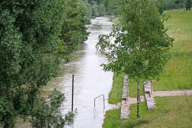 berfluteter Uferbereich des Rheins in Neuenburg  | Foto: Volker Mnch