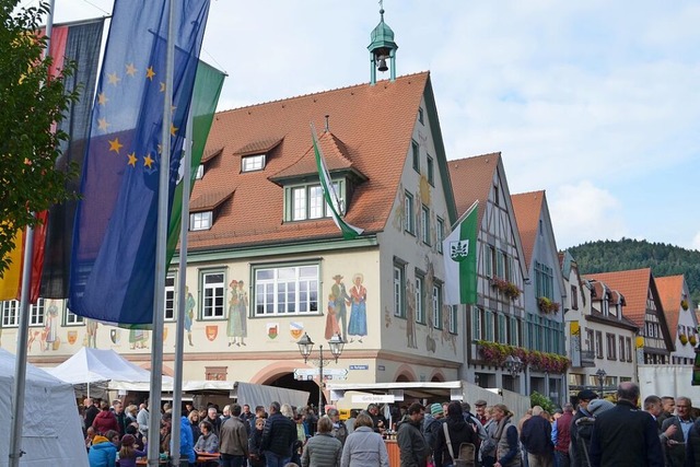 Wer holt bei der Kommunalwahl in Hasla...hlergebnisse live in dieser bersicht.  | Foto: Nikolaus Bayer