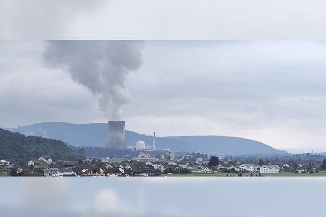 Die Revision im Atomkraftwerk Leibstadt ist zu Ende