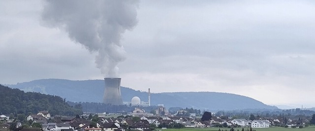 Die Revision im Kernkraftwerk Leibstad...r zu sehen, wie hier von Waldshut aus.  | Foto: Vlk, Melanie