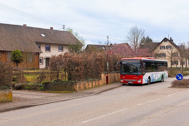 Das umstrittene Baugrundstck an der B...in der Vrstetter Strae in Holzhausen  | Foto: Hubert Gemmert