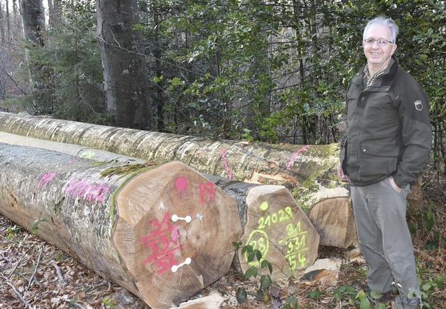 Hermann Rodenkirchen bewirtschaftet  den Walddistrikt Groer Grassert.  | Foto: privat