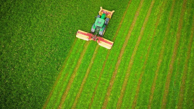 838 landwirtschaftliche Projekte hat d...m Schnitt mit weniger als 10.000 Euro.  | Foto: IMAGO/Daniel Scharinger