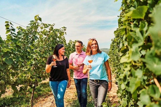 Den nrdlichen Breisgau als Weingegend beleben &#8211; das soll die Spritztour.  | Foto: thomas sattler