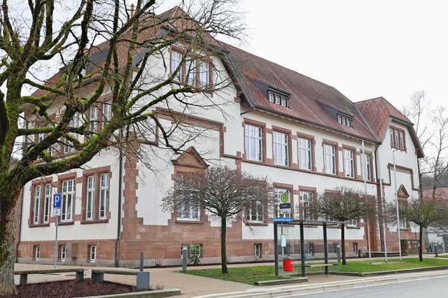 Die Brgervereinigung Maulburg kandidi...Rathaus aber weiter im Blick behalten.  | Foto: Alexandra Gnzschel