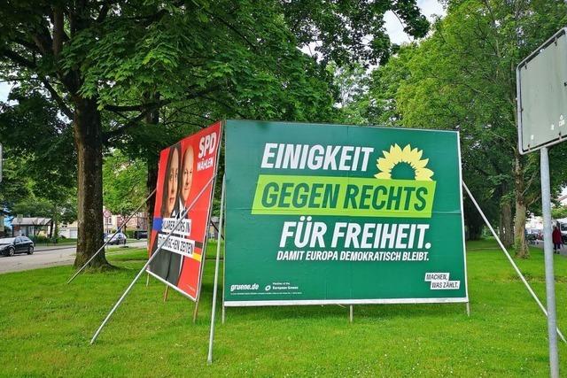Parteien und Gruppen kritisieren Fridays For Future Offenburg fr Demo-Ausschluss von CDU und FDP