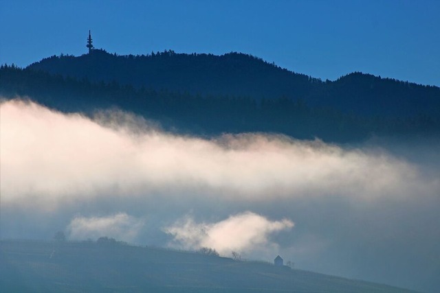 Die Strae hinauf auf den Blauen muss saniert werden.  | Foto: Harald Hfler