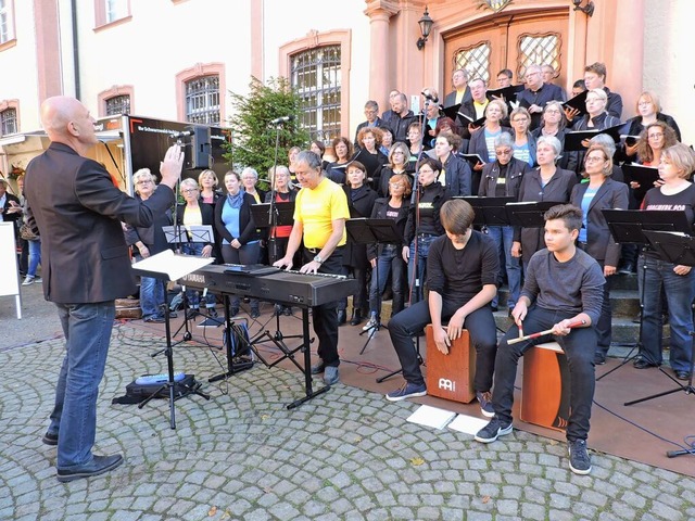 Der Chor Klangwerk.Pop bei einem Auftritt 2016 vor dem Elztalmuseum  | Foto: Sylvia Sredniawa