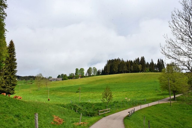 An der Strae Einsiedel im Jostal auf ...e groe Flchen-Solaranlage entstehen.  | Foto: Thomas Biniossek