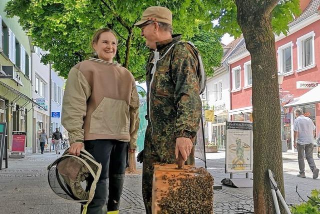 Feuerwehrfrau und Imker fangen ein Bienenvolk in der Offenburger Innenstadt ein