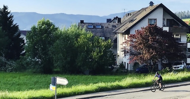 Innen- oder Auenbereich? In Oberried ... Wiesengrundstck in der Ortsmitte an.  | Foto: Michael Drfler