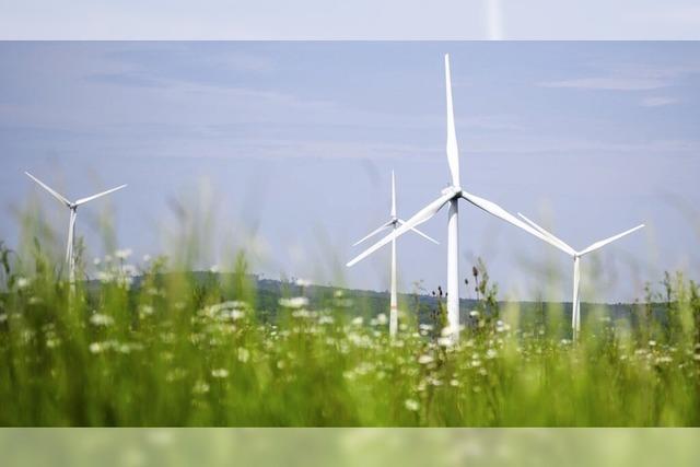 Bis Ende 2027 knnte es zwischen Bonndorf und Grafenhausen zehn neue Windkraftanlagen geben