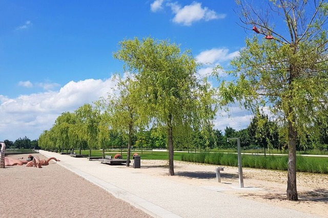 Die Weiden im Seepark in Lahr mssen gefllt werden.  | Foto: Christian Kramberg