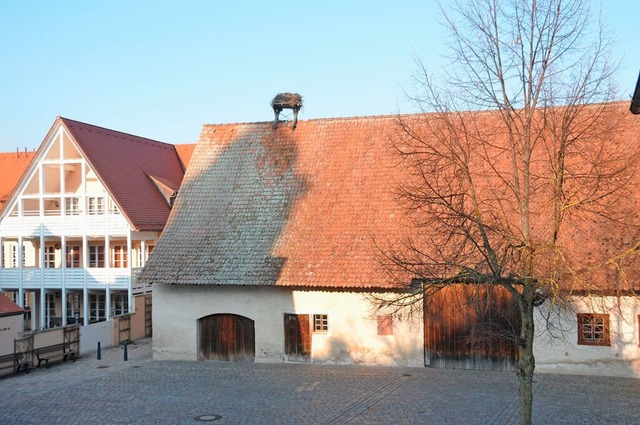 In der historischen Zehntscheuer im Me...es rtlichen Kunstforums ausgerichtet.  | Foto: Sebastian Ehret