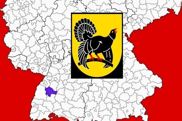 Europawahl 2024: Wahlergebnisse Kreis Freudenstadt