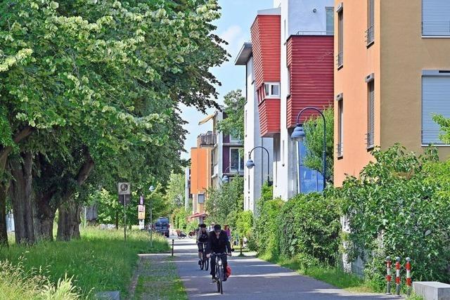 Freiburgs Stadtteil Vauban wird 25 – von Salzlampen, Passivhusern und Lastenrad-Muttis