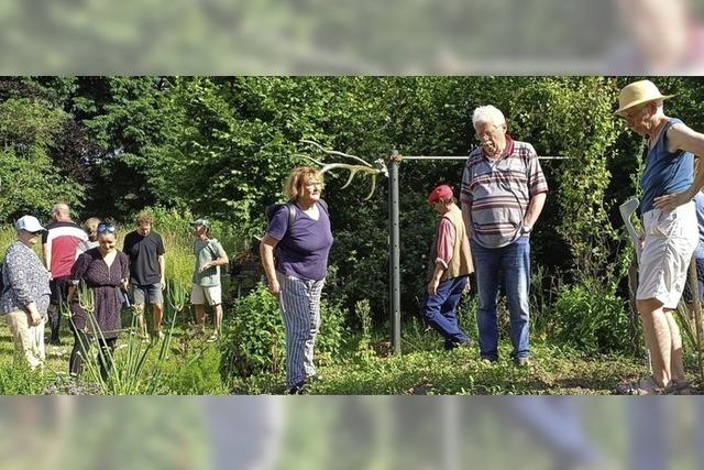 Naturnaher Staudengarten