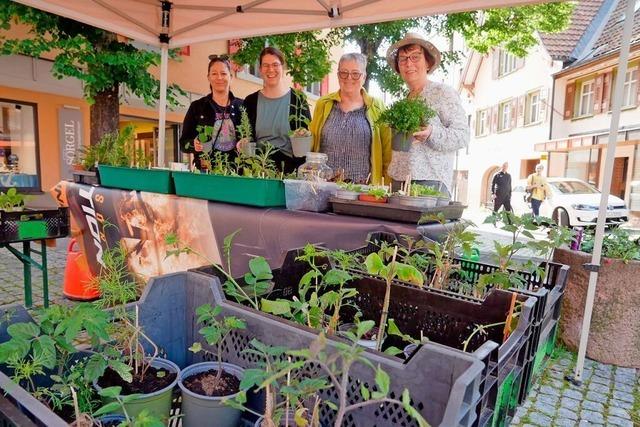 Tauschbrse fr Gartenbegeisterte lockt in Titisee-Neustadt Jung und Alt