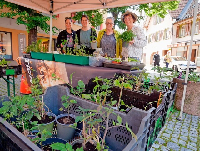 Sind zufrieden mit der Pflanzenbrse (...rena Riesterer und Sabine Winterhalder  | Foto: Eva Korinth