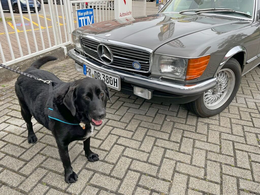 Ein offenes Museum war Teil des Programms beim Old- und Youngtimertreffen in Btzingen. Gegen eine geringe Spende durften Gste Ausfahrten mit den Oldtimern unternehmen. Die Spenden nutzt die Lebenshilfe fr die Anschaffung pdagogischer Spielgerte.