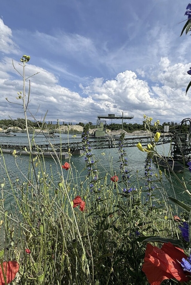 Aus dem Baggersee der Firma Knobel in ... fr die Beregnung abgeleitet werden.   | Foto: Frank Schoch