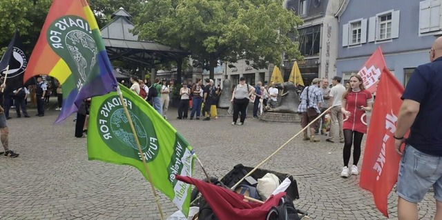 Die Demo am Samstag nach Querelen im Vorfeld.  | Foto: barbara Puppe