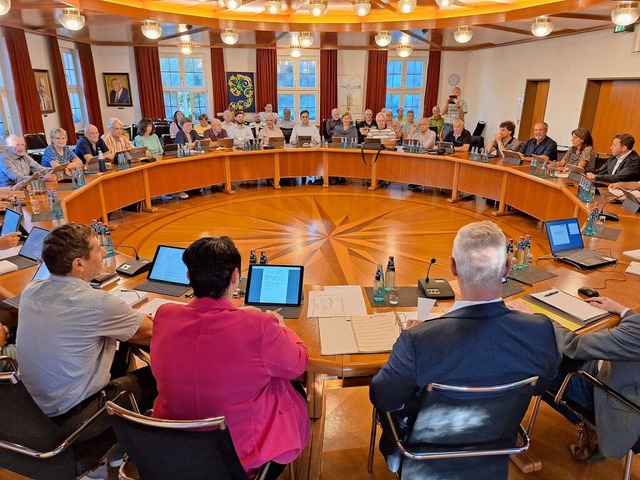 Im zuknftigen Breisacher Gemeinderat ... einer frheren Sitzung im Brgersaal.  | Foto: Dirk Sattelberger