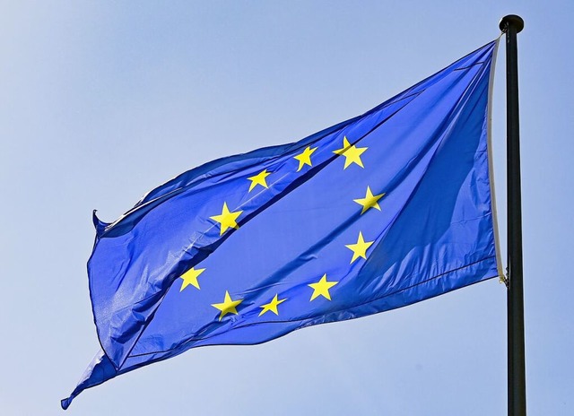 Die Flagge der EU  | Foto: Jens Kalaene (dpa)
