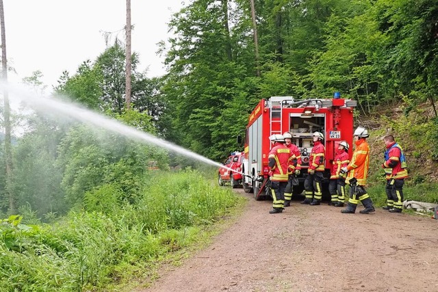 Lscharbeiten im Wald &#8211; das bungsszenario war sehr realistisch angelegt.  | Foto: Michael Haberer