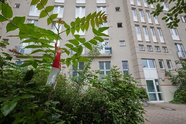 Kind in Berlin aus drittem Stock geworfen – Mutter in psychiatrischer Einrichtung