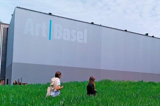 Stinkende Gorillas und opulente Mbel: Die Art Basel ist seit Donnerstag fr alle geffnet