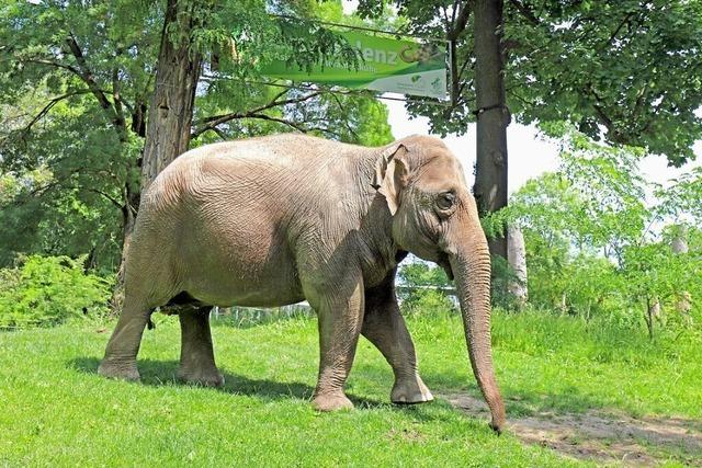 Zoologischer Stadtgarten Karlsruhe