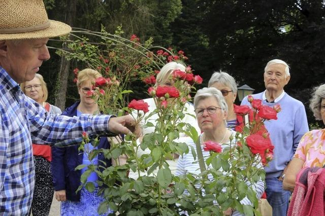 Rosenplausch im Stadtpark