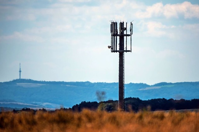 Elektrosensible Menschen wnschen sich weniger Funkmasten.  | Foto: Andreas Arnold (dpa)