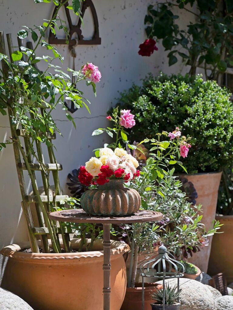 Farbenfrohe Arrangements in einem Garten.