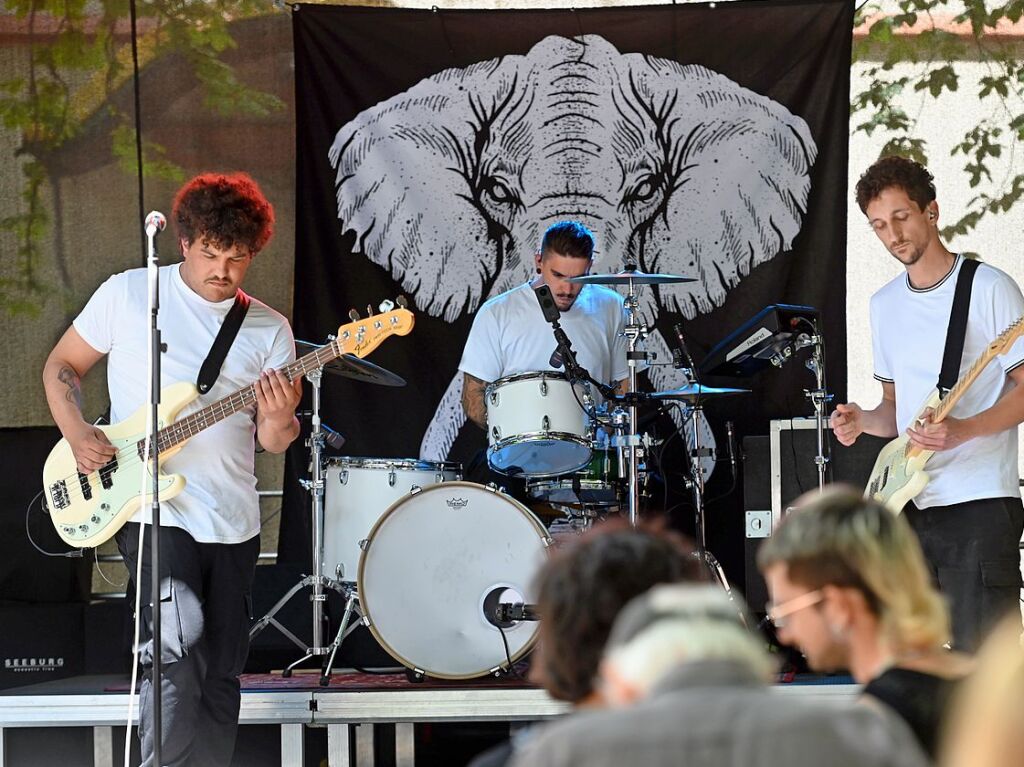 Musik pur und Open Air