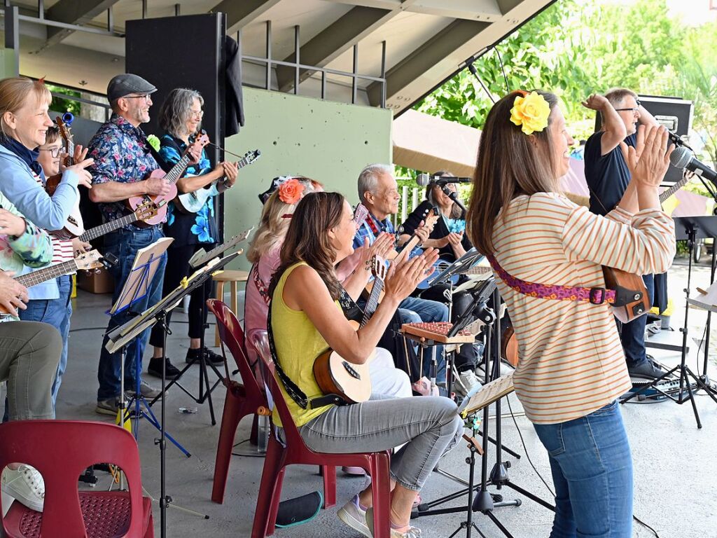 Musik pur und Open Air