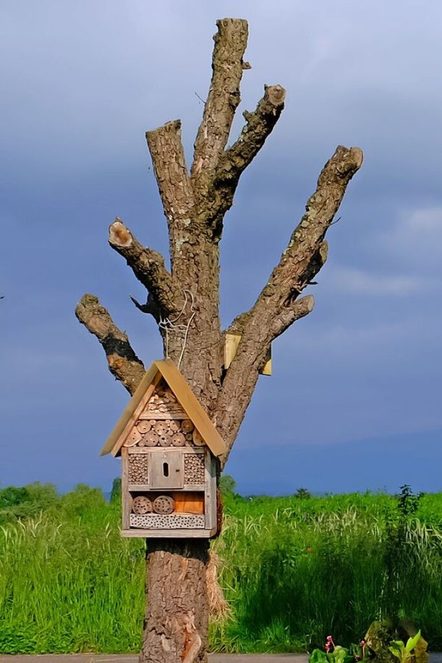 Ein Unterschlupf fr Insekten steht bei Teningen.  | Foto: Marion Furtwngler-Fritz