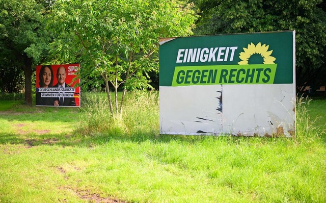 Die Grnen in Herbolzheim beklagen im ...lakate und Beleidigungen (Symbolfoto).  | Foto: Julian Stratenschulte (dpa)