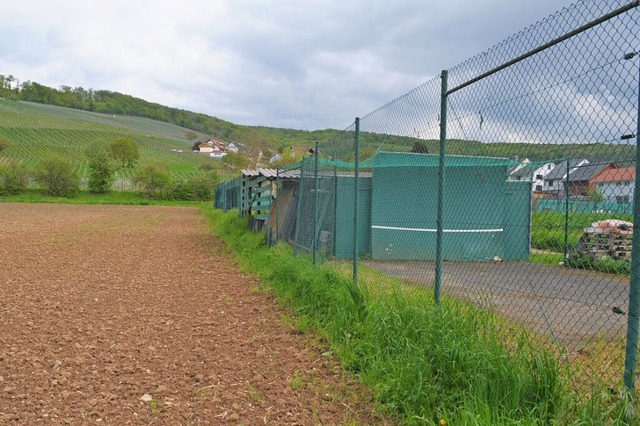 Bei den Tennispltzen am Ortsrand soll...ebetriebe aus Pfaffenweiler entstehen.  | Foto: Reinhold John